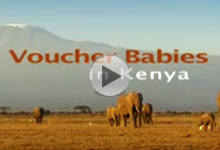 Voucher Babies